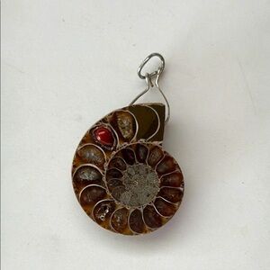 Silver and Brown Nautilus Pendant
